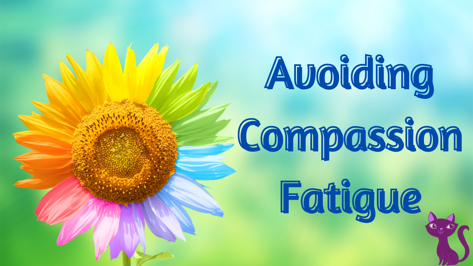 avoiding-compassion-fatigue-all-belong-coaching-real-chat-with-kat