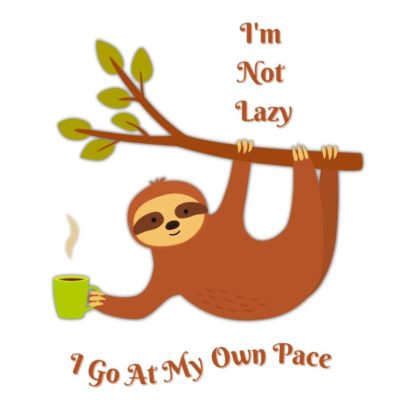 I'm not lazy, I go my own pace