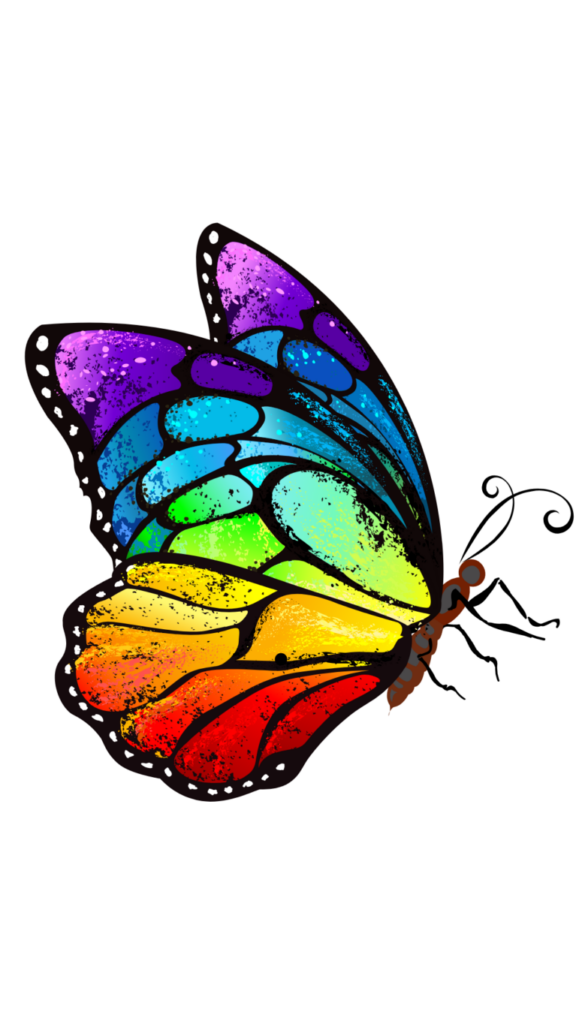 rainbow butterfly